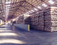 The Antwerp warehouse from inside with coffee bags on pallets