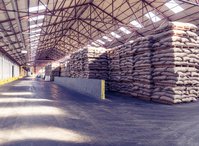 The Antwerp warehouse from inside with coffee bags on pallets