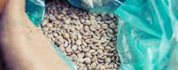 An open coffee bag. Specialty coffee beans are inside.