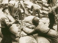 An old sepia photo of port workers with coffee bags, probably on a ship. It is unclear if they are loading or unloading the bags.