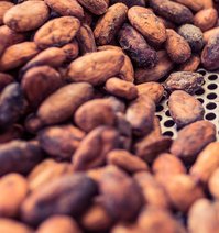A white rectangle with a light blue open square on it. The letters I, C, E are written in the square, futures europe is written next to the letters. It is the logo of the London stock exchange.