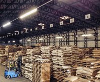 The warehouse in Bury St Edmunds from inside with coffee bags on pallets and a forklift