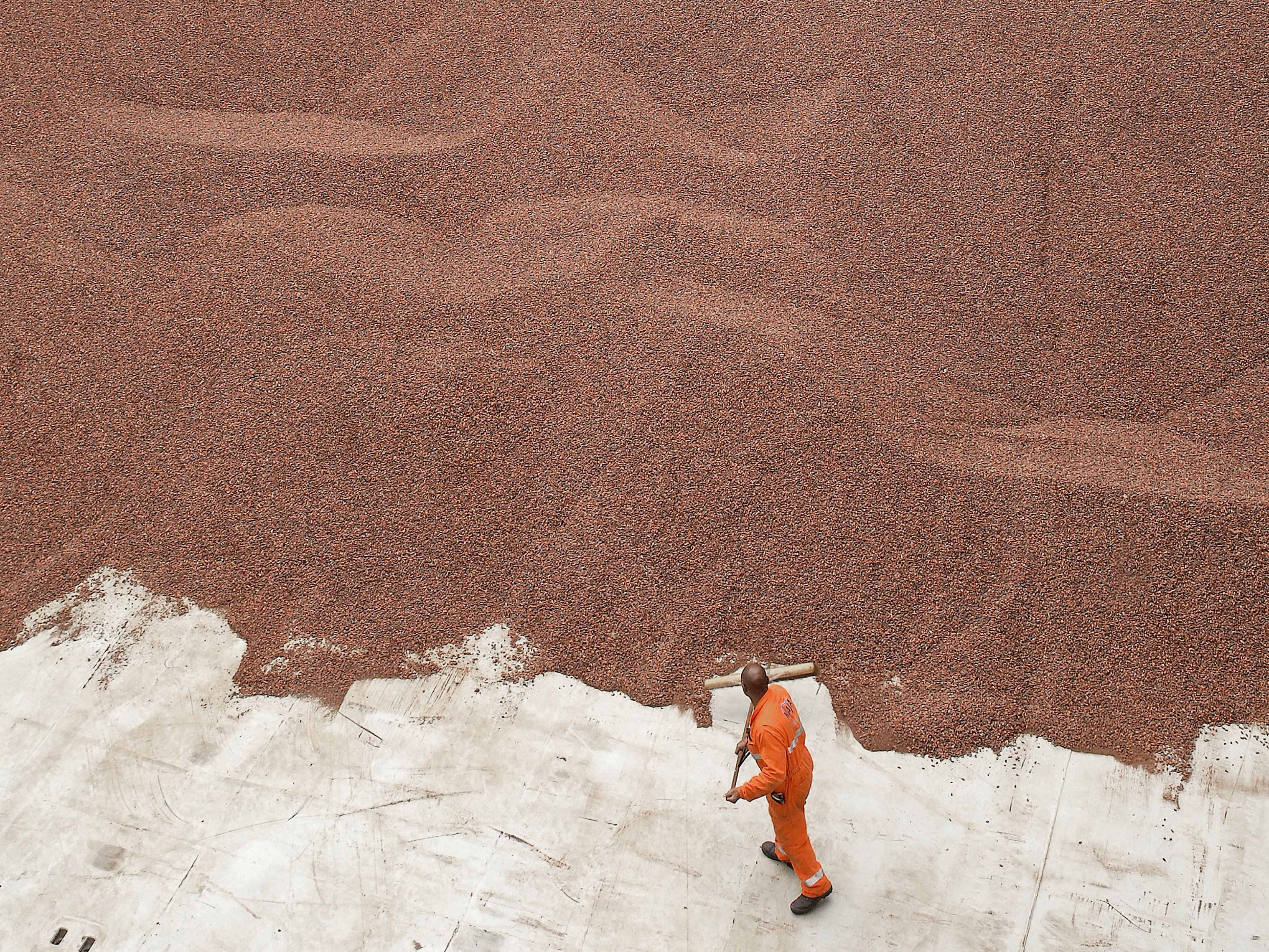 The photo is taken from above. A man can be seen in front of a mountain of cocoa.