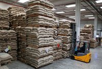 Coffee bags on pallets are stacked by an employee with a forklift in the Naples warehouse