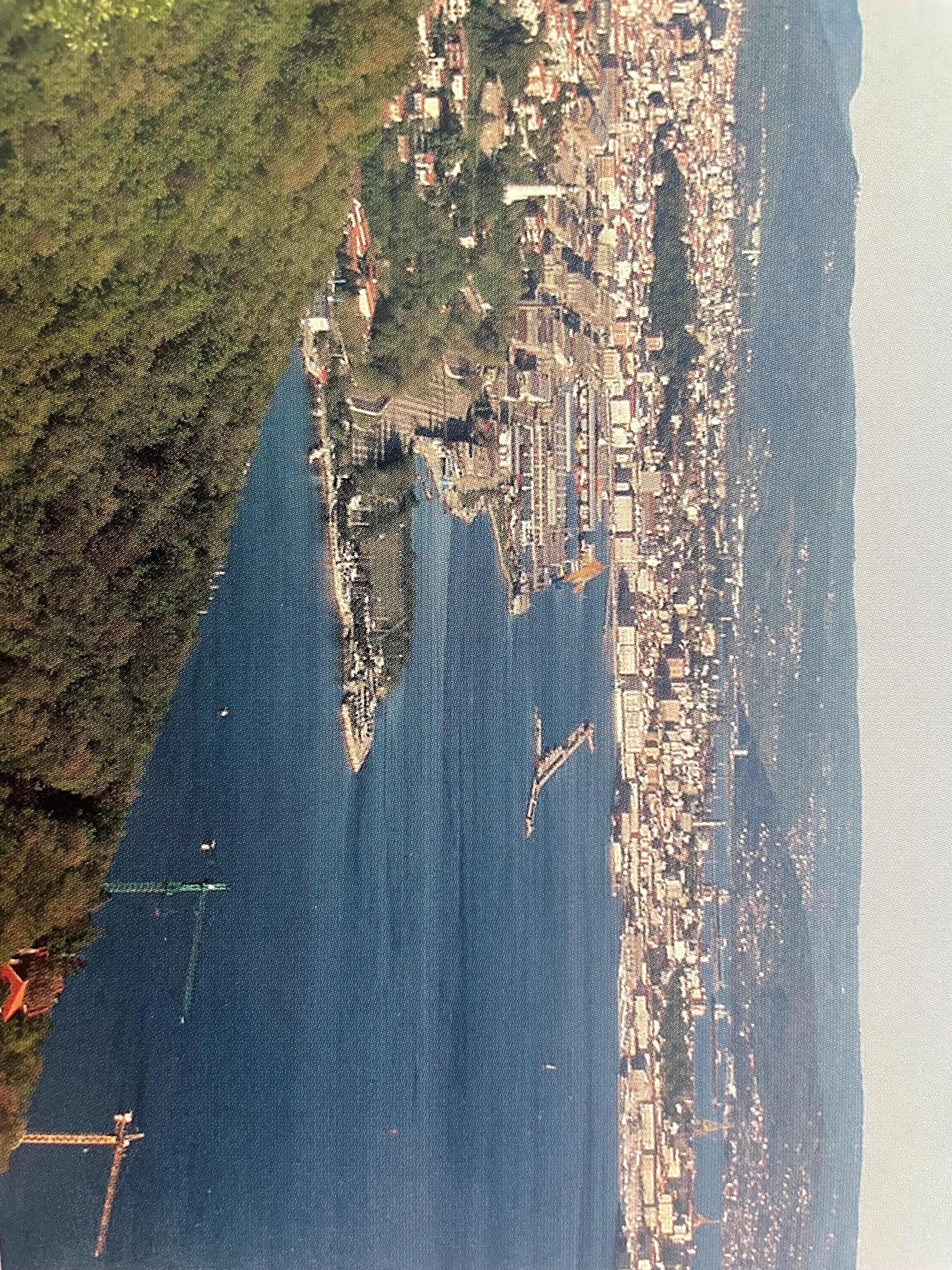 The photo is taken from above. Trees can be seen in the front, in the centre is water, surrounded by areas with different buildings on them.